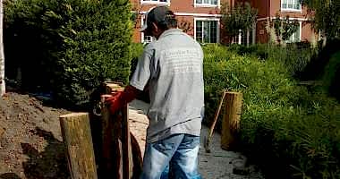 Galeri görseli