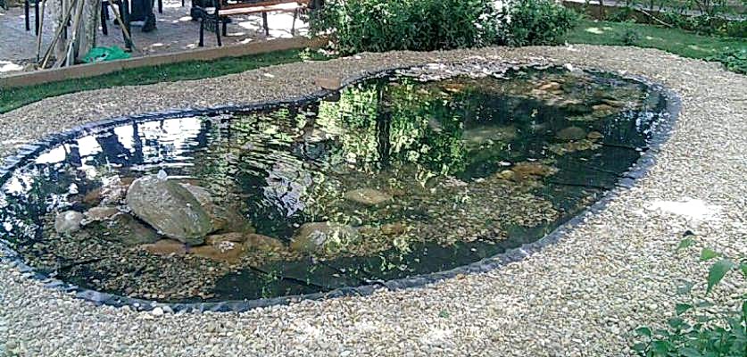 Biyolojik Göller ve Havuzlar